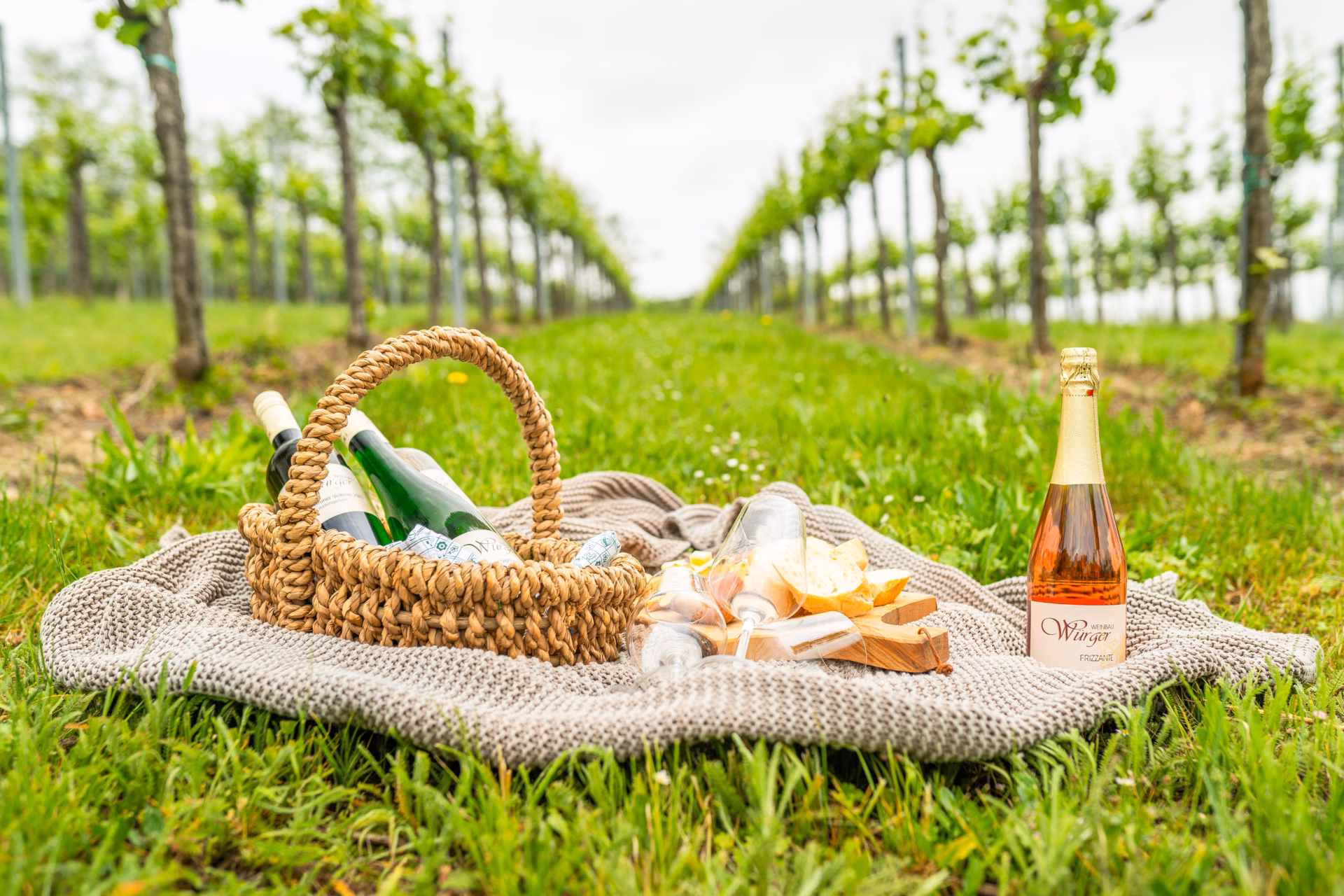 Picknick-Jause mit Wein und anderen Leckereien am Feld.